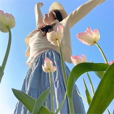 狮子军龙虎鬪